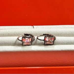 Small crystal stone earrings.
